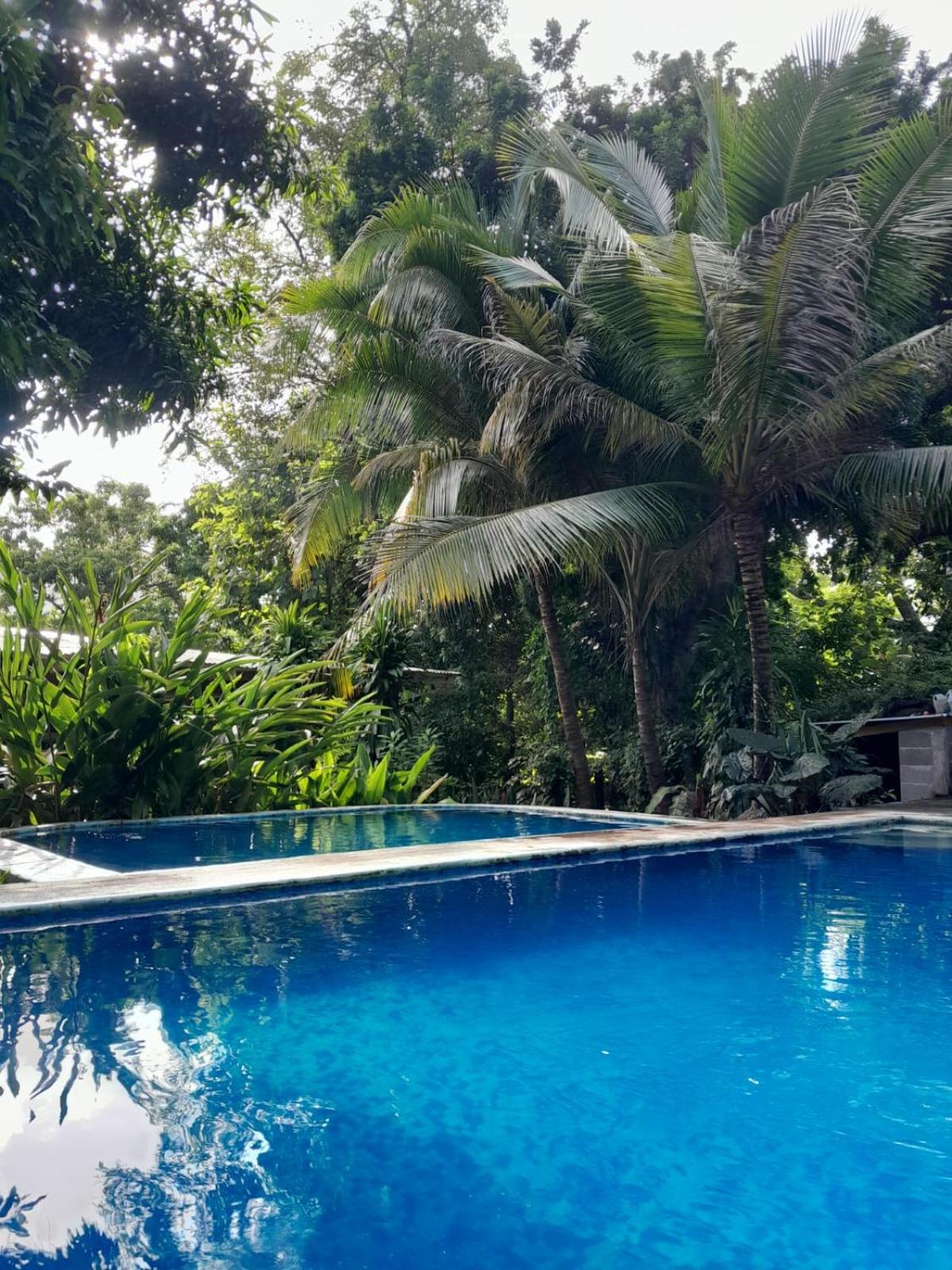 埃尔蒙特Hammock Plantation公寓 外观 照片